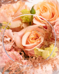 Prim-plan al florilor din aranjamentul “Aranjament floral „Peach Glow””, varianta Standard, evidentiind combinatia armonioasa de 3 Trandafiri portocalii, 1 Hydrangea roz, 1 Eustoma somon, completate de Eucalipt și Asparagus coloured și finisate într-un vas din sticlă în formă de măr.