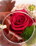 Prim-plan al florilor din aranjamentul “Aranjament floral de toamnă „Apple Blossom””, varianta Standard, evidentiind combinatia armonioasa de un Trandafir roșu, o floare de Hydrangea roz, o crenguță de Symphoricarpus și o garofiță Carnation barbatus, completate de o crenguță de Eucalipt și frunze de Quercus, finisate cu un vas din sticlă în formă de măr elegant.