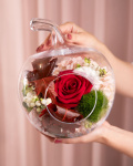 Imagine de ansamblu a aranjamentului “Aranjament floral de toamnă „Apple Blossom””, varianta Standard, realizat dintr-un Trandafir roșu, o floare de Hydrangea roz, o crenguță de Symphoricarpus, o garofiță Carnation barbatus, o crenguță de Eucalipt și frunze de Quercus, completat cu un vas din sticlă în formă de măr.